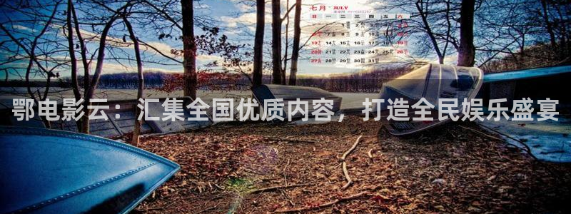 探花视频在线版免费