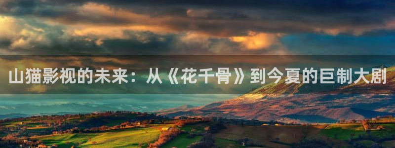 www探花