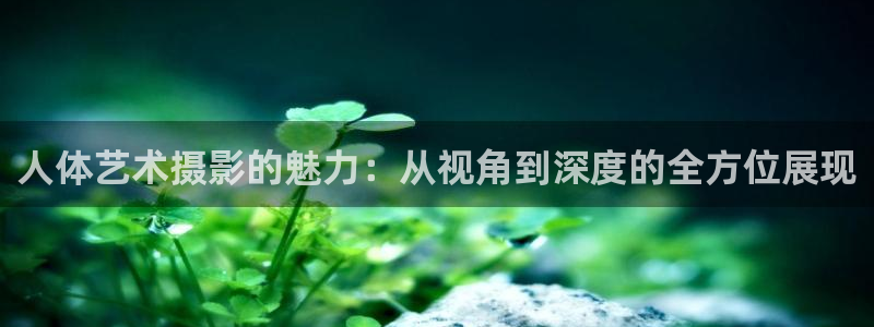 《探花》：人体艺术摄影的魅力：从视角到深度的全方位展现