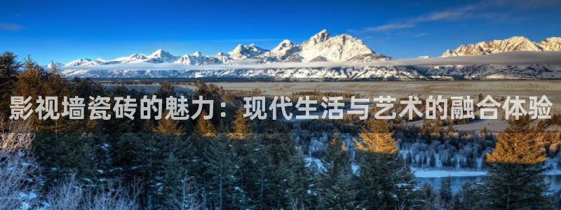 探花系列视频免费