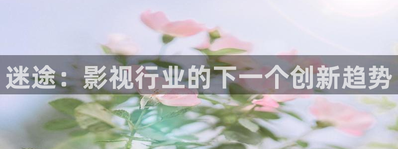 探花视频免费观看高清