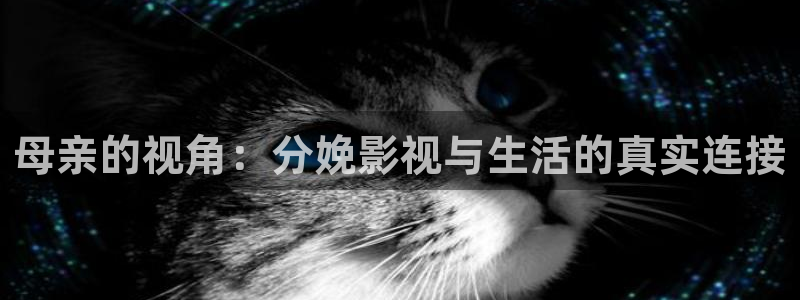 视频一区 探花