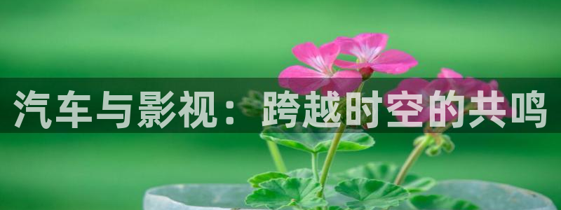 视频99探花