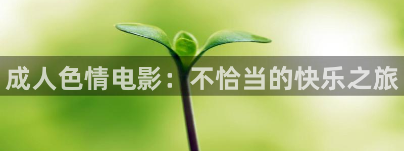探花系列视频在线观看+在线播放：成人色情电影：不恰当的快乐之旅