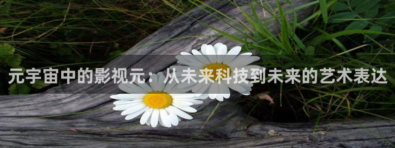 探花视频免费在线观看：元宇宙中的影视元：从未来科技到未来的艺术表达