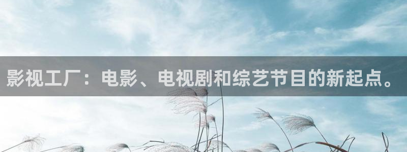 探花区在线视频：影视工厂：电影、电视剧和综艺节目的新起点。